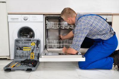Restoring Dishwasher Performance