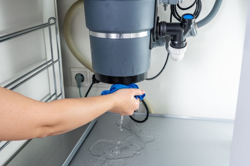 Garbage Disposal Repair in Reno, NV